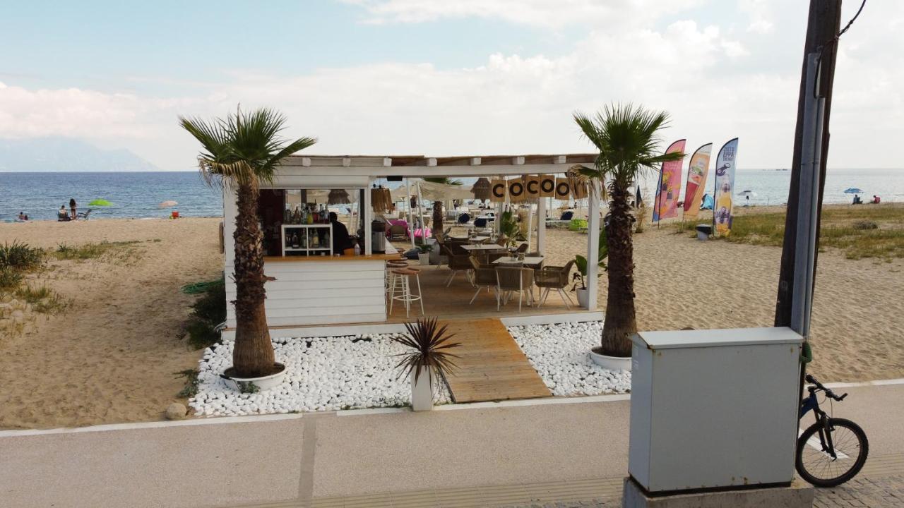 Cocoon Hotel-Beach Bar سارتي المظهر الخارجي الصورة