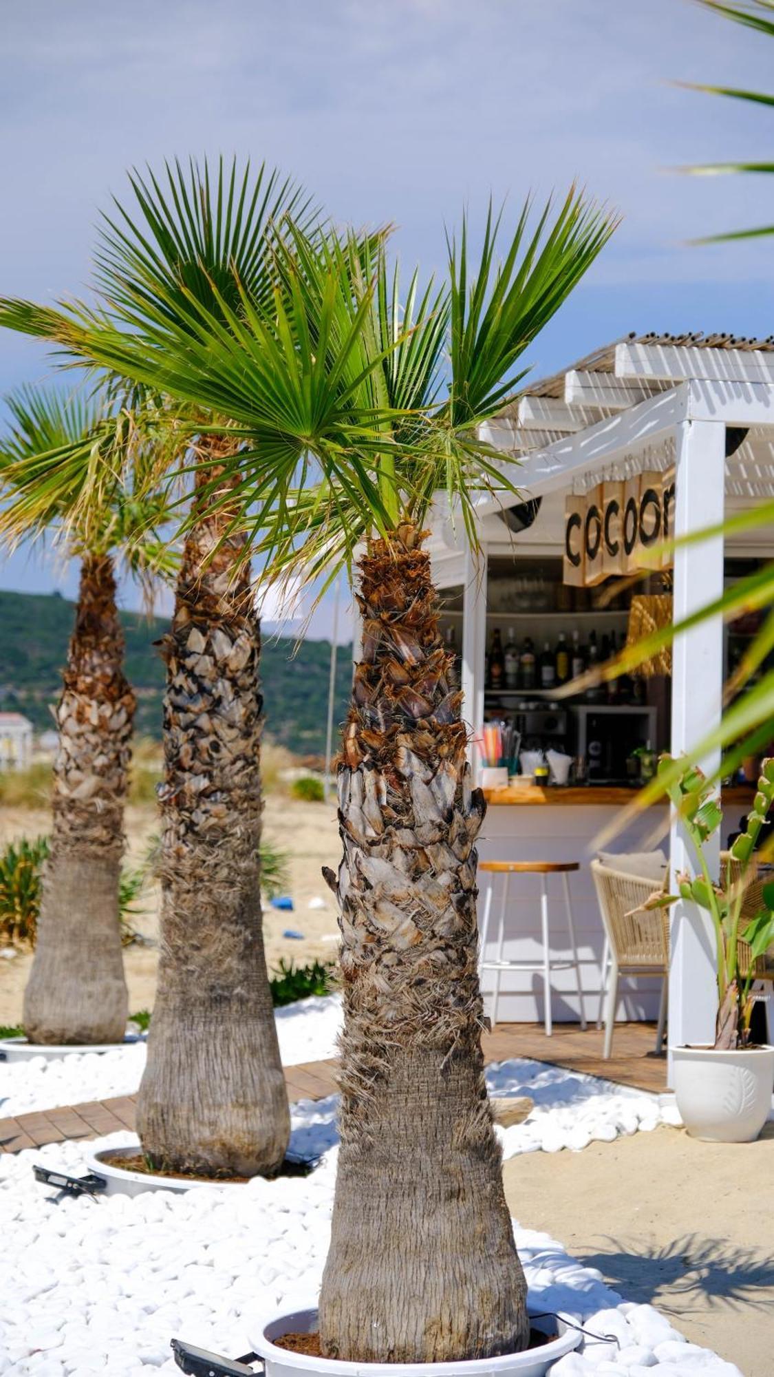 Cocoon Hotel-Beach Bar سارتي المظهر الخارجي الصورة